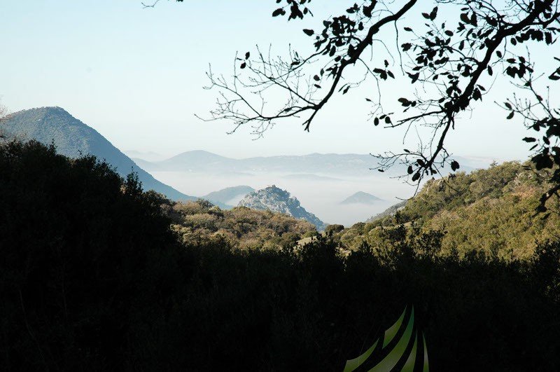 Descenso del Arroyo Garganta del Boyar Imagen